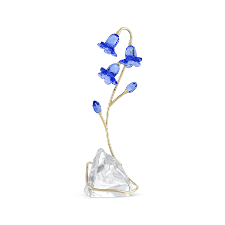 Resim Florere Mavi Çançiçeği