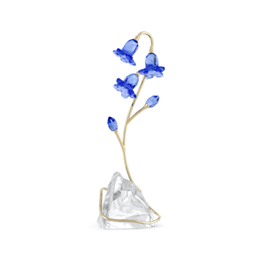 Resim Florere Mavi Çançiçeği