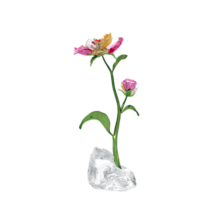 Resim Idyllia Çiçek, Büyük Boy