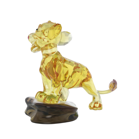 Resim The Lion King Simba