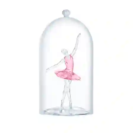 Resim Cam fanus içindeki balerin