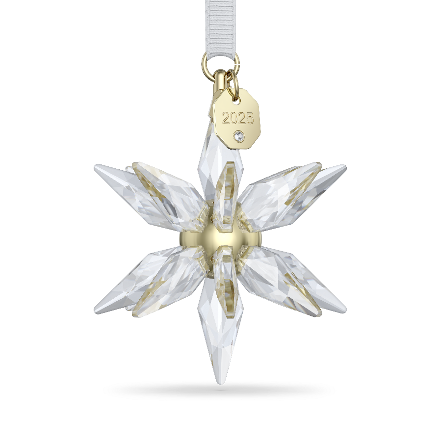 Resim Annual Edition 3 Boyutlu Süs 2025