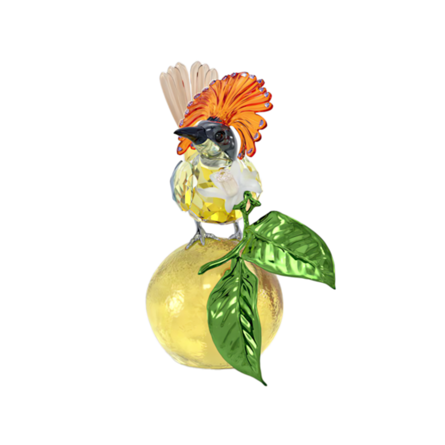 Resim Idyllia Kraliyet Sinekkapanı