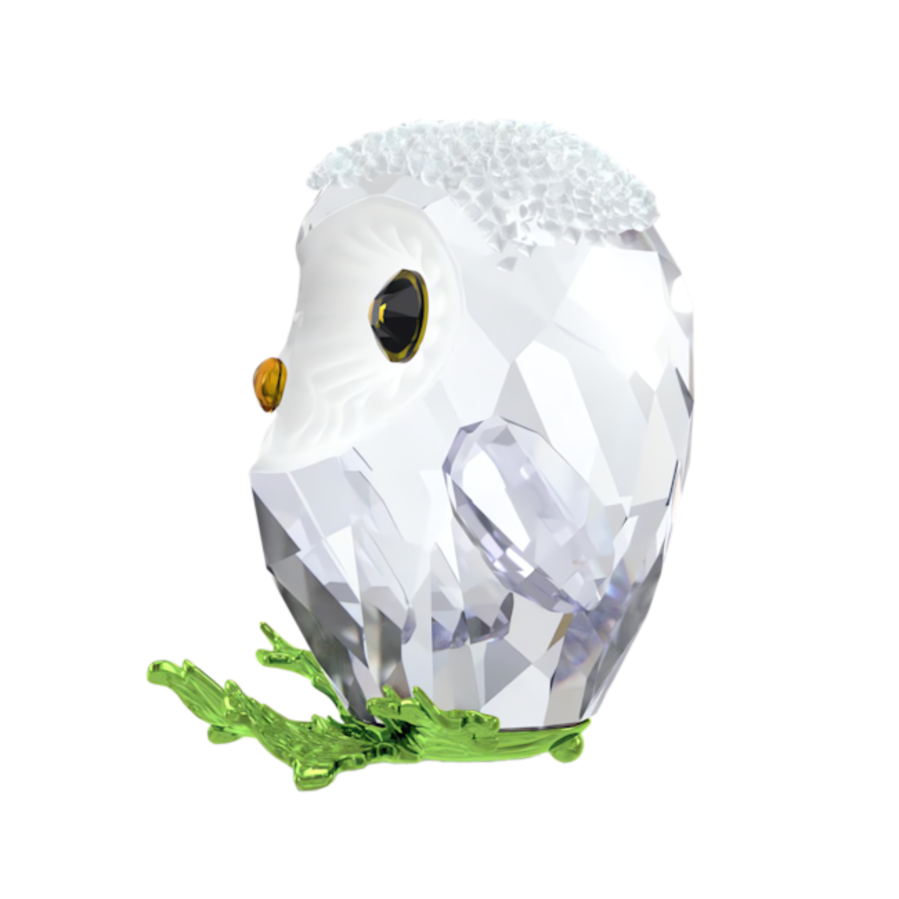 Resim Idyllia Yavru Baykuş