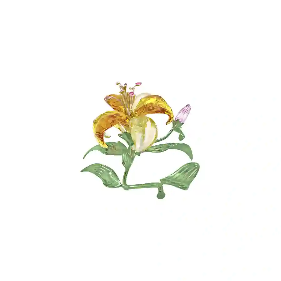 Resim Florere Zambak, Büyük boy