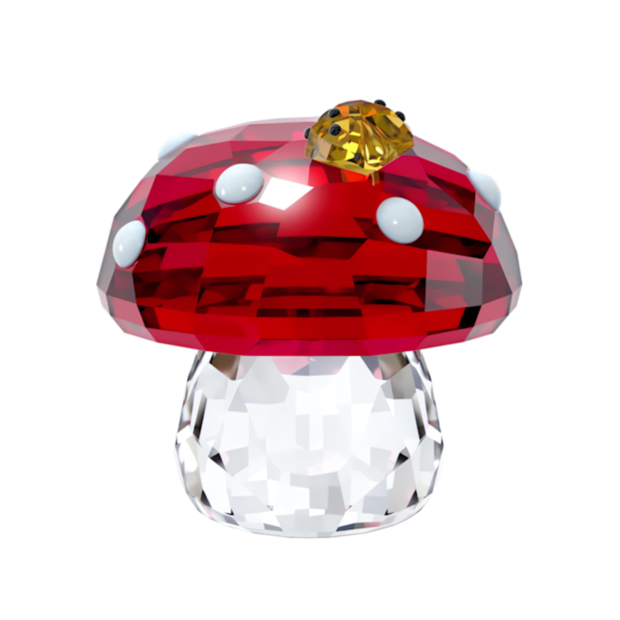 Resim Idyllia Mantar ve Uğur Böcekleri