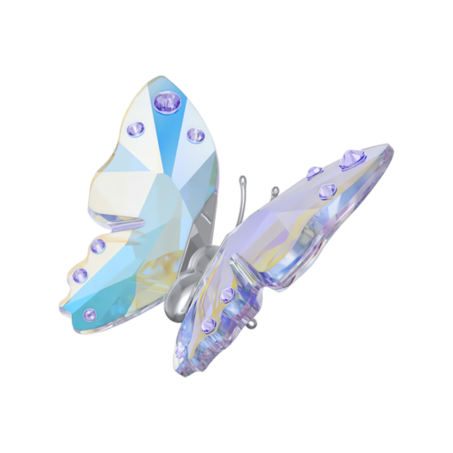 Resim ‎2026 Capsule Kelebek