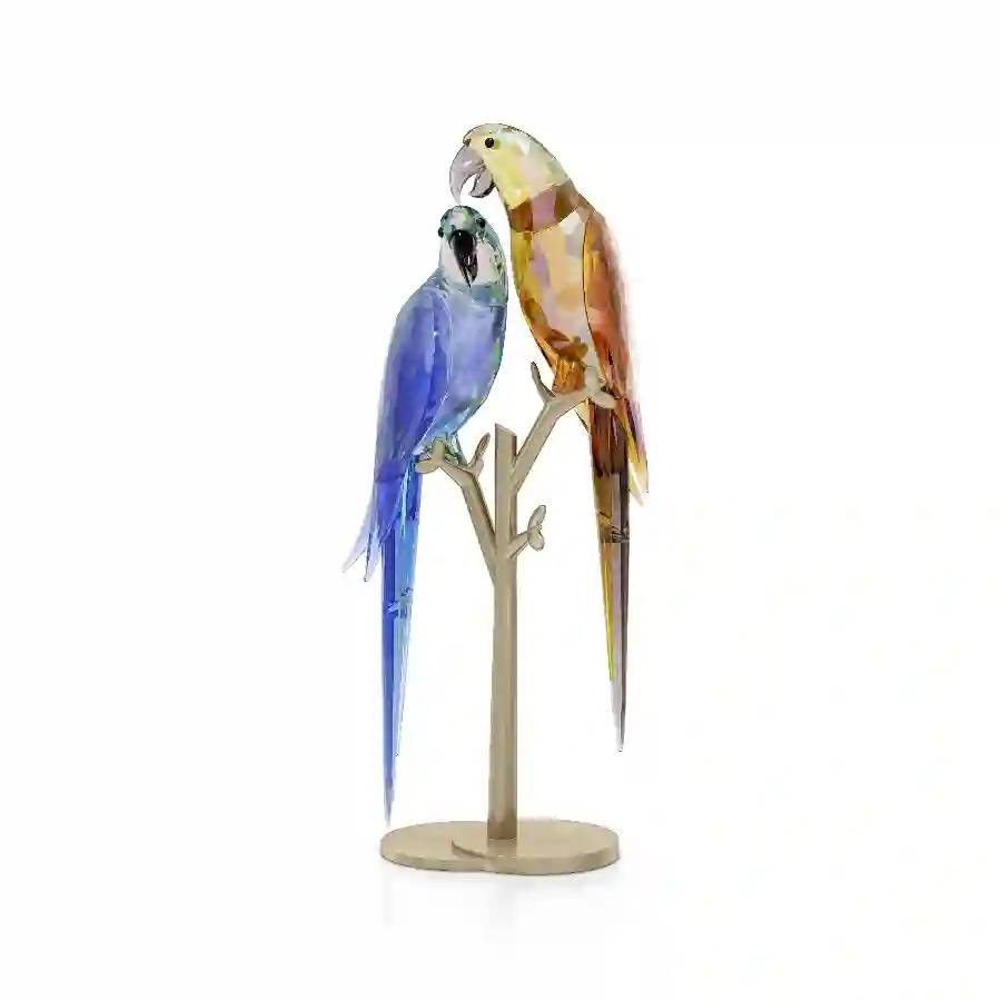 Resim Jungle Beats Papağan Çifti Bell & Brio